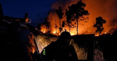 PRF prende homem por queimada ilegal às margens da BR-153 no Tocantins