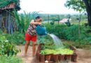 Programa de Aquisição de Alimentos completa 23 anos garantindo segurança alimentar e renda