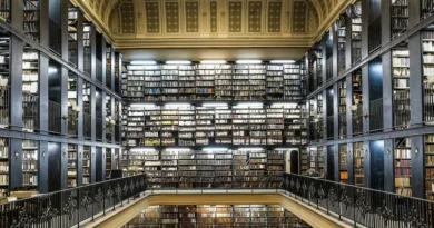 Biblioteca Nacional lança edital para ajudar autores brasileiros a publicar no exterior