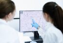 Anvisa aprova novo medicamento para linfoma não Hodgkin