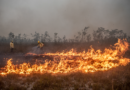 Sala de Situação sobre Incêndios Florestais tem segunda reunião e trata de ações preventivas