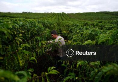 Exportação de café do Brasil aumenta 14,4% em junho, diz Cecafé