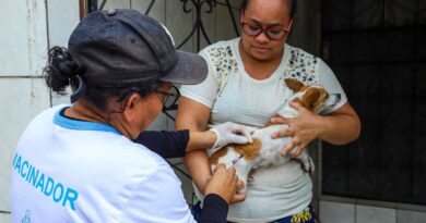 Prefeitura de Manaus divulga resultado preliminar de Processo Seletivo Simplificado para campanha antirrábica animal de 2026