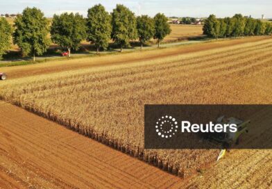 Monitor de safras da UE reduz perspectivas de colheita e alerta para novas revisões