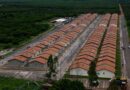 Em dois dias, mais de 1,7 mil famílias recebem moradias do Minha Casa, Minha Vida