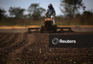Exportação de café verde do Brasil recua 16,6% em 2025/26, diz Cecafé
