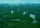 Brasil tem redução dos alertas de desmatamento na Amazônia e no Cerrado
