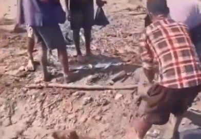 FAKE: Vídeo de elefante “guiando” homem em enchente viraliza como se fosse do Nepal