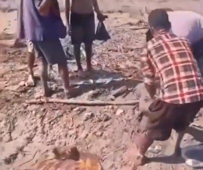 FAKE: Vídeo de elefante “guiando” homem em enchente viraliza como se fosse do Nepal