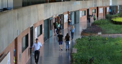 Selo reconhecerá instituições de ensino com ações de prevenção e enfrentamento à violência contra meninas e mulheres
