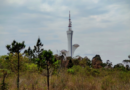 Trilha no coração do Brasil une a arquitetura modernista de Brasília à natureza selvagem do Cerrado