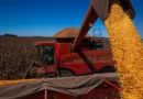 Conab estima safra de grãos 2026/27 acima de 367 milhões de toneladas