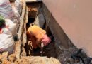 Prefeitura de Manaus recupera rede de drenagem na rua Ademar de Barros, no bairro Flores