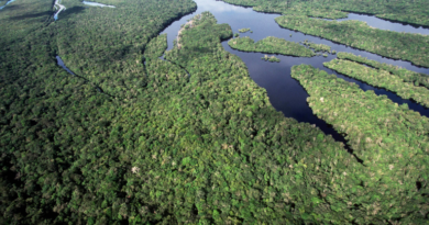 Brasil anuncia a maior queda de desmatamento na Amazônia e no Cerrado desde 1988