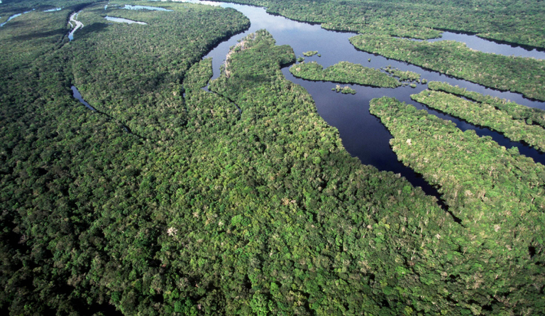 Brasil anuncia a maior queda de desmatamento na Amazônia e no Cerrado desde 1988