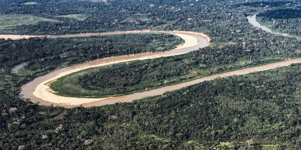 Holanda anuncia US$ 500 milhões em fundo florestal criado pelo Brasil
