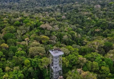 Amazônia reduz desmatamento histórico, mas segue sob pressão humana