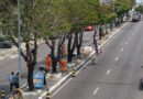 Prefeitura de Manaus reforça revitalização do canteiro central da avenida Castelo Branco e melhora segurança viária