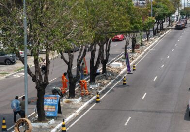 Prefeitura de Manaus reforça revitalização do canteiro central da avenida Castelo Branco e melhora segurança viária