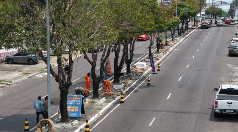 Prefeitura de Manaus reforça revitalização do canteiro central da avenida Castelo Branco e melhora segurança viária