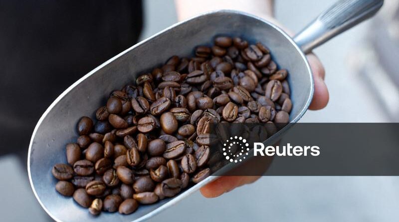 Café arábica toca máxima de um mês com estoques em níveis criticamente baixos