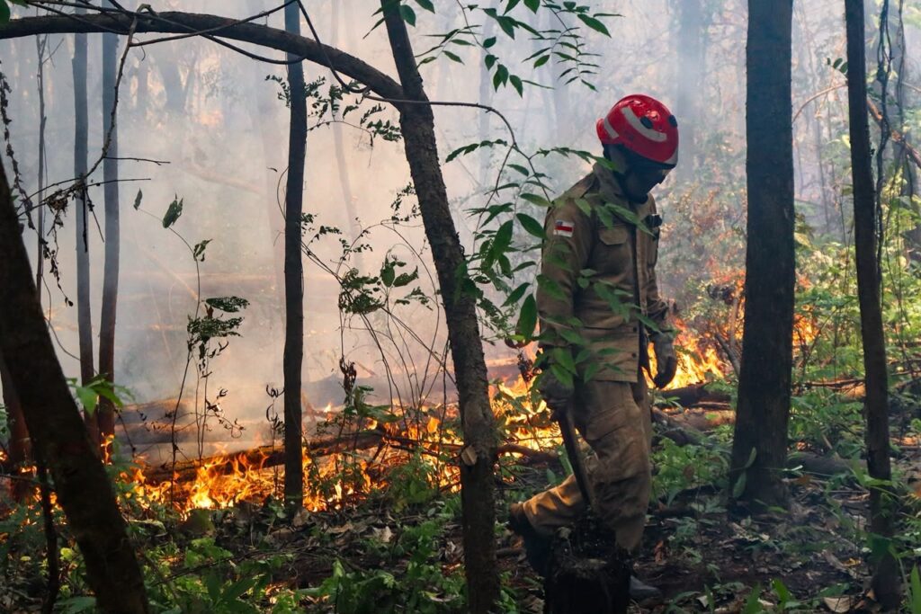 Governo aprova R$ 45,2 milhões para ajudar o Amazonas nas queimadas