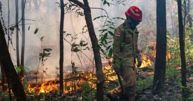 Governo aprova R$ 45,2 milhões para ajudar o Amazonas nas queimadas