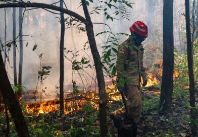 Governo aprova R$ 45,2 milhões para ajudar o Amazonas nas queimadas