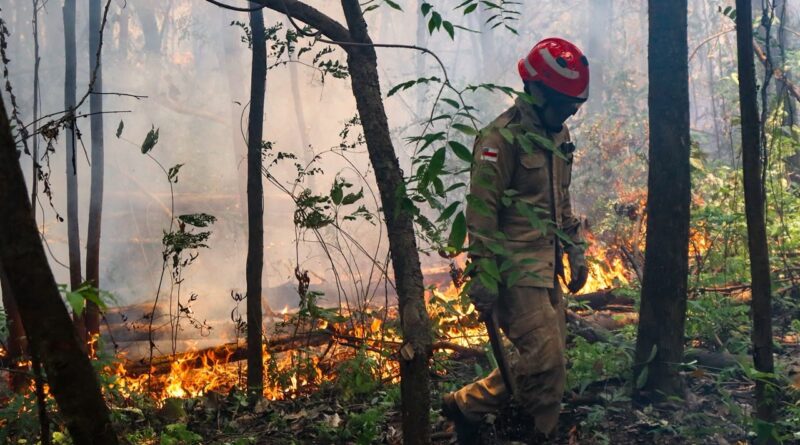 Governo aprova R$ 45,2 milhões para ajudar o Amazonas nas queimadas