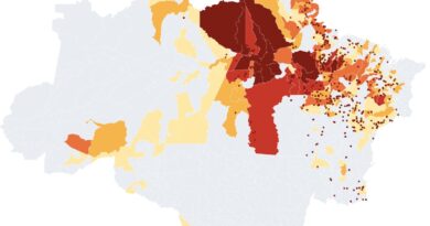 Queimadas no Amazonas mais que dobram em 2026 e semana é a pior em quatro anos Queimadas no Amazonas mais que dobram em 2026 e semana é a pior em quatro anos